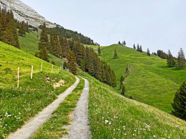 Yürürken, yürürken, spor yaparken ve dinlenirken dağların eteklerindeki dağlık vadilerde, Alpnach - Obwalden Kantonu, İsviçre (Kanton Obwalden, Schweiz)