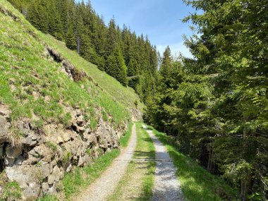 Yürürken, yürürken, spor yaparken ve dinlenirken dağların eteklerindeki dağlık vadilerde, Alpnach - Obwalden Kantonu, İsviçre (Kanton Obwalden, Schweiz)