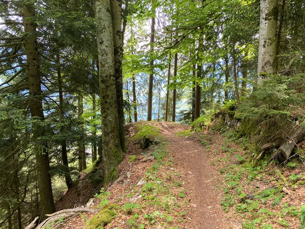 Trails for walking, hiking, sports and recreation on the slopes of the Pilatus massif and in the alpine valleys at the foot of the mountain, Alpnach - Canton of Obwalden, Switzerland (Kanton Obwalden, Schweiz)