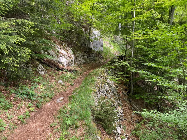 Trails for walking, hiking, sports and recreation on the slopes of the Pilatus massif and in the alpine valleys at the foot of the mountain, Alpnach - Canton of Obwalden, Switzerland (Kanton Obwalden, Schweiz)