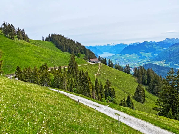 Trails Walking Hiking Sports Recreation Slopes Pilatus Massif Alpine Valleys — Stock Photo, Image