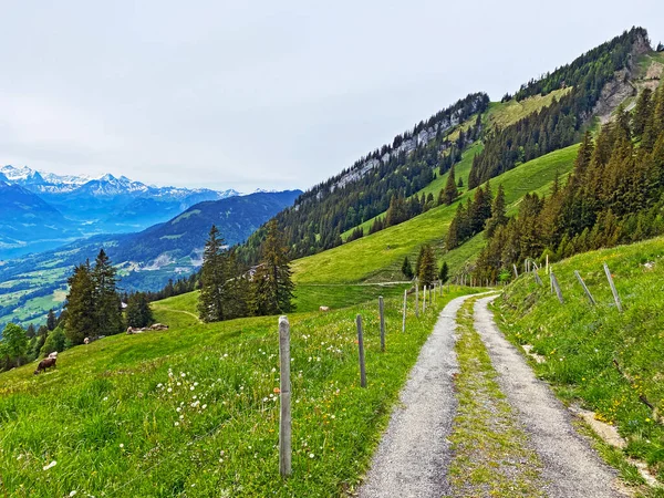 Trails for walking, hiking, sports and recreation on the slopes of the Pilatus massif and in the alpine valleys at the foot of the mountain, Alpnach - Canton of Obwalden, Switzerland (Kanton Obwalden, Schweiz)