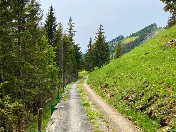 Trails Walking Hiking Sports Recreation Slopes Pilatus Massif Alpine Valleys — Stock Photo, Image