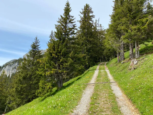 Trails for walking, hiking, sports and recreation on the slopes of the Pilatus massif and in the alpine valleys at the foot of the mountain, Alpnach - Canton of Obwalden, Switzerland (Kanton Obwalden, Schweiz)