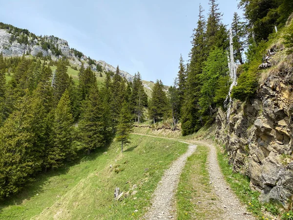 Trails for walking, hiking, sports and recreation on the slopes of the Pilatus massif and in the alpine valleys at the foot of the mountain, Alpnach - Canton of Obwalden, Switzerland (Kanton Obwalden, Schweiz)