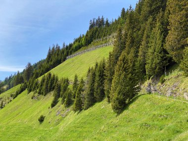 Karışık ormanlar ve inceltilmiş ağaçlar Pilatus tepelerinin yamaçlarında ve dağ tepelerinin altındaki dağlık vadilerde, Alpnach - Obwalden Kantonu, İsviçre (Kanton Obwalden, Schweiz)