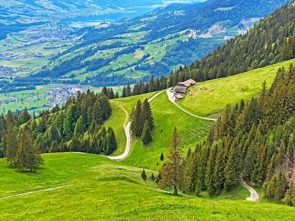 Pastagens Prados Alpinos Nas Encostas Maciço Pilatus Nos Vales Alpinos — Fotografia de Stock