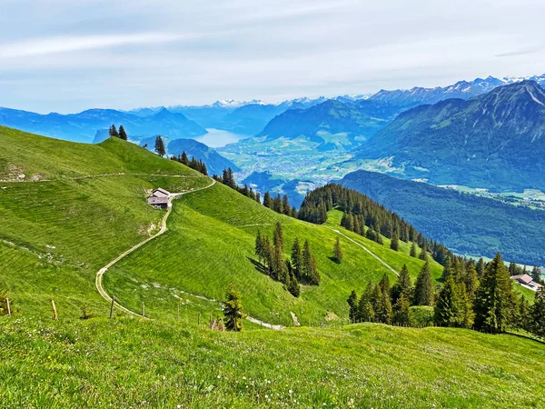 Alpenweiden Graslanden Hellingen Van Het Pilatus Massief Alpendalen Aan Voet — Stockfoto