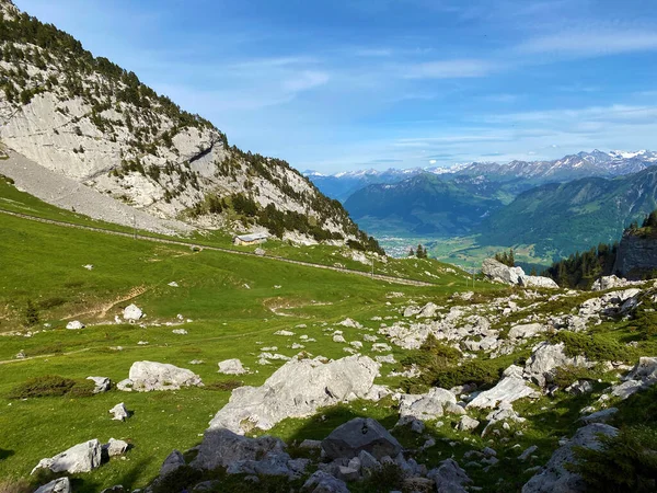 Alpesi Legelők Legelők Pilátus Hegység Lejtőin Alpesi Völgyekben Hegy Lábánál — Stock Fotó