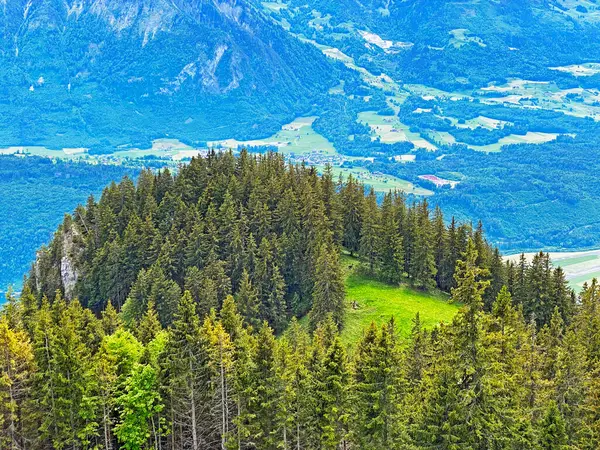 Μικτά Δάση Και Αραιωμένα Δέντρα Στις Πλαγιές Του Βουνού Pilatus — Φωτογραφία Αρχείου