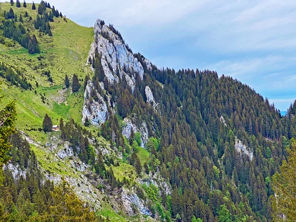 混合森林とピラタス山脈の斜面や山の峰の下の高山の谷で木を間伐 アルパチ オブヴァルデンのカントン スイス カントンObwalden スイス — ストック写真