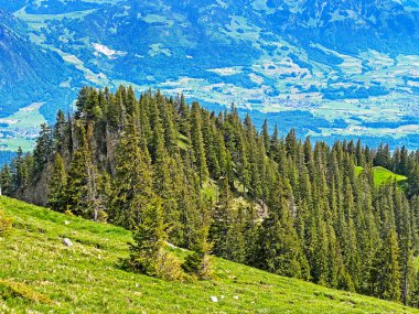 İsviçre 'nin Pilatus dağ sırasındaki Hoernli ya da Hornli tepelerinde ve Emmental Alpler, Alpnach - Obwalden Kantonu, İsviçre (Kanton Obwalden, Schweiz)