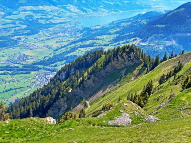 İsviçre 'nin Pilatus dağ sırasındaki Hoernli ya da Hornli tepelerinde ve Emmental Alpler, Alpnach - Obwalden Kantonu, İsviçre (Kanton Obwalden, Schweiz)