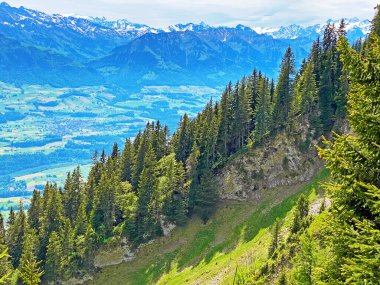 Evergreen ormanı veya kozalaklı ağaçlar Pilatus tepelerinin yamaçlarında ve dağ tepelerinin altındaki dağlık vadilerde, Alpnach - Obwalden Kantonu, İsviçre (Kanton Obwalden, Schweiz)