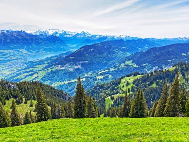 Evergreen ormanı veya kozalaklı ağaçlar Pilatus tepelerinin yamaçlarında ve dağ tepelerinin altındaki dağlık vadilerde, Alpnach - Obwalden Kantonu, İsviçre (Kanton Obwalden, Schweiz)