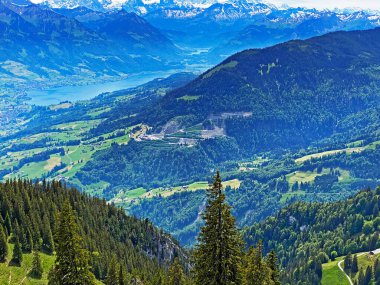 Evergreen ormanı veya kozalaklı ağaçlar Pilatus tepelerinin yamaçlarında ve dağ tepelerinin altındaki dağlık vadilerde, Alpnach - Obwalden Kantonu, İsviçre (Kanton Obwalden, Schweiz)