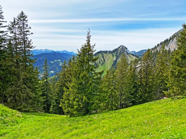 Alpine Peak Musflue Swiss Mountain Range Pilatus Emmental Alps Alpnachstad — Stock Photo, Image