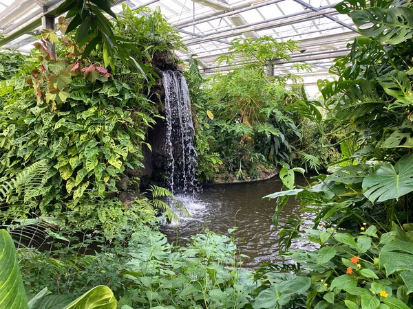 Butterfly House Schmetterlingshaus Flower Island Mainau Sul Lago Costanza Die — Foto Stock