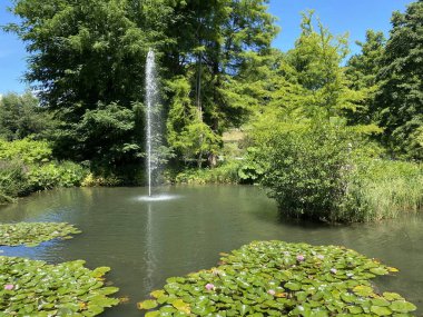 Güneş banyosu veya Teich mit Liegewiese (Constance Gölü 'ndeki Çiçek Adası Mainau veya Bodensee' deki Die Blumeninsel im Bodensee) - Constance, Almanya / Konstanz, Deutschland