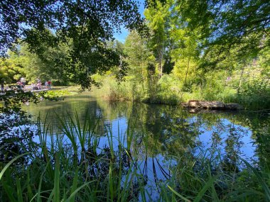 Güneş banyosu veya Teich mit Liegewiese (Constance Gölü 'ndeki Çiçek Adası Mainau veya Bodensee' deki Die Blumeninsel im Bodensee) - Constance, Almanya / Konstanz, Deutschland