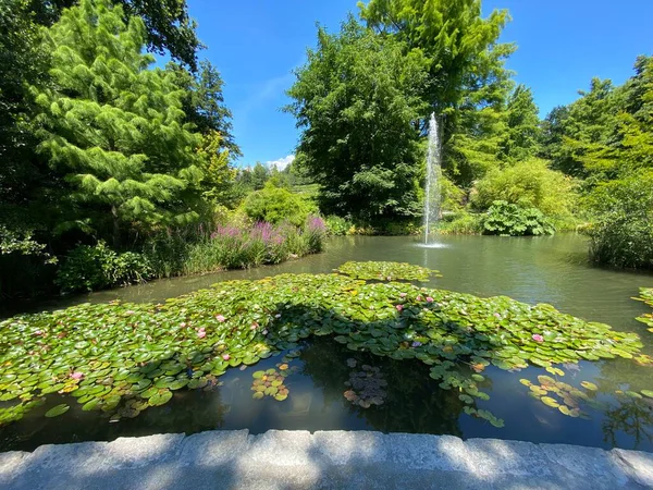 Paysage Étang Pelouse Pour Bronzer Teich Mit Liegewiese Île Aux — Photo