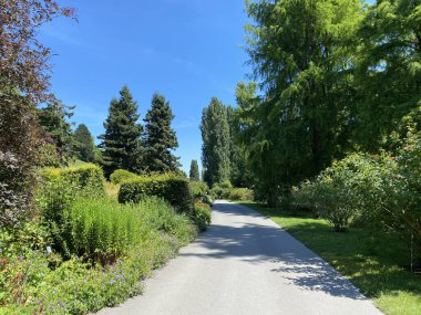 Herbaceous Garden (Constance Gölü 'ndeki Çiçek Adası Mainau veya Die Blumeninsel im Bodensee) - Constance, Almanya / Konstanz, Deutschland