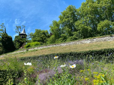Herbaceous Garden (Constance Gölü 'ndeki Çiçek Adası Mainau veya Die Blumeninsel im Bodensee) - Constance, Almanya / Konstanz, Deutschland
