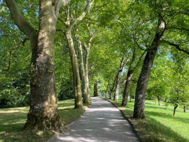 Bahar Bulvarı veya Fruehlingsstrasse (Constance Gölü üzerindeki Çiçek Adası Mainau veya Die Blumeninsel im Bodensee) - Constance, Almanya / Konstanz, Deutschland