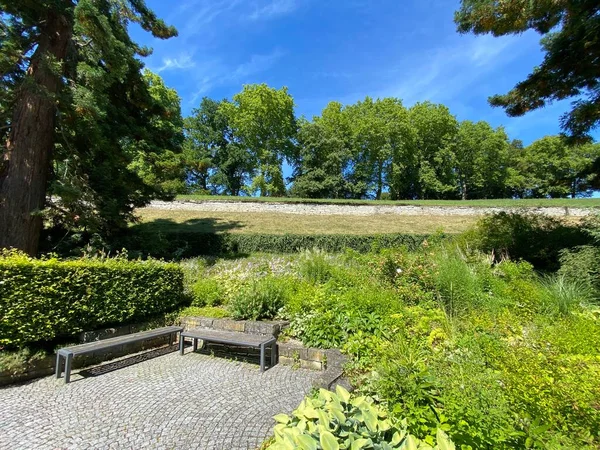 Paisaje Del Jardín Herbáceo Staudengarten Isla Las Flores Mainau Lago — Foto de Stock