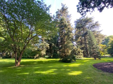 Ağaç Toplama (Ağaç Koleksiyonu veya Baumsammlung), (Constance Gölü 'ndeki Çiçek Adası Mainau veya Die Blumeninsel im Bodensee) - Constance, Almanya / Konstanz, Deutschland