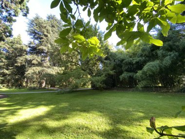 Ağaç Toplama (Ağaç Koleksiyonu veya Baumsammlung), (Constance Gölü 'ndeki Çiçek Adası Mainau veya Die Blumeninsel im Bodensee) - Constance, Almanya / Konstanz, Deutschland