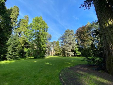 Ağaç Toplama (Ağaç Koleksiyonu veya Baumsammlung), (Constance Gölü 'ndeki Çiçek Adası Mainau veya Die Blumeninsel im Bodensee) - Constance, Almanya / Konstanz, Deutschland
