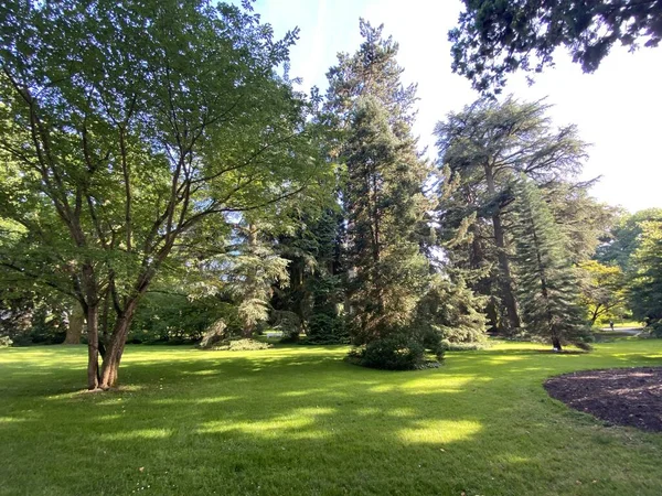 アーボルトゥム 木のコレクションまたはBaumsammlung 湖のコンスタンス上のフラワーアイランドマノーまたはダイBluminsel Bodensee コンスタンス ドイツ コンスタンツ ドイツ — ストック写真