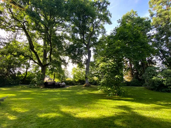 Arboreto Tree Collection Baumsammlung Flower Island Mainau Lake Constance Die — Fotografia de Stock