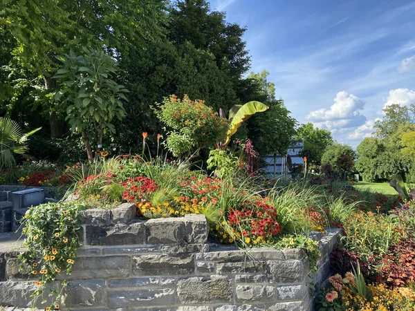 Sonja Lennart Bernadotte Plaza Sonja Und Lennart Bernadotte Platz Flower — Foto de Stock