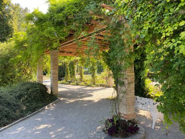 İtalyan Gül Bahçesi veya Italienscher Rosengarten (Constance Gölü üzerindeki Çiçek Adası Mainau veya Blumeninsel im Bodensee) - Constance, Almanya / Konstanz, Deutschland