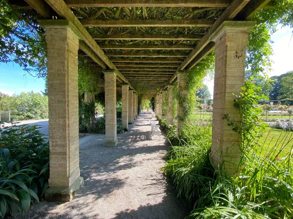 Talyan Gül Bahçesi Veya Italienscher Rosengarten Constance Gölü Üzerindeki Çiçek — Stok fotoğraf