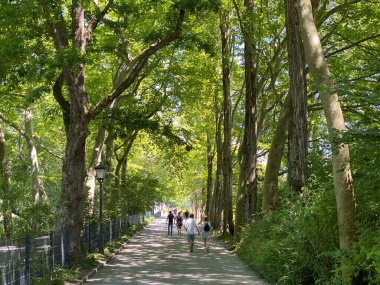 Adanın girişindeki caddenin manzarası (Constance Gölü 'ndeki Çiçek Adası Mainau veya Blumeninsel im Bodensee' de öl) - Constance, Almanya / Konstanz, Deutschland
