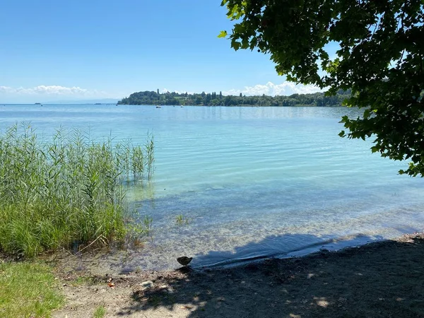 Lanskap Danau Constance Pulau Mainau Pulau Flower Mainau Danau Constance — Stok Foto