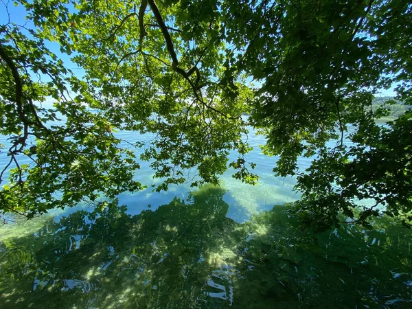 Constance Tájképe Mainau Sziget Mellett Virág Sziget Mainau Constance Tónál — Stock Fotó