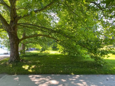 Constance, Almanya / Konstanz, Deutschland - Constance, Almanya / Konstanz, Almanya (Constance, Almanya / Konstanz)