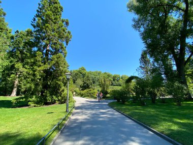 Parkın manzarası ve çiçek adasındaki ağaçlar (Constance Gölü 'ndeki Çiçek Adası Mainau veya Die Blumeninsel im Bodensee) - Constance, Almanya / Konstanz, Deutschland