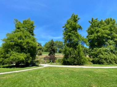 Parkın manzarası ve çiçek adasındaki ağaçlar (Constance Gölü 'ndeki Çiçek Adası Mainau veya Die Blumeninsel im Bodensee) - Constance, Almanya / Konstanz, Deutschland