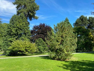 Parkın manzarası ve çiçek adasındaki ağaçlar (Constance Gölü 'ndeki Çiçek Adası Mainau veya Die Blumeninsel im Bodensee) - Constance, Almanya / Konstanz, Deutschland