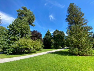 Parkın manzarası ve çiçek adasındaki ağaçlar (Constance Gölü 'ndeki Çiçek Adası Mainau veya Die Blumeninsel im Bodensee) - Constance, Almanya / Konstanz, Deutschland