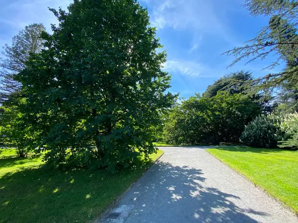 Paisaje Del Parque Árboles Isla Flores Flower Island Mainau Lago — Foto de Stock