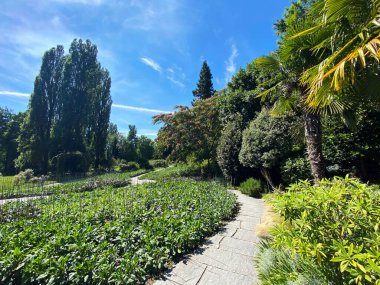 Constance Gölü veya Landschaft der Blumeninsel im Bodensee - Constance, Almanya / Konstanz, Deutschland