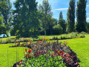 Constance Gölü veya Landschaft der Blumeninsel im Bodensee - Constance, Almanya / Konstanz, Deutschland