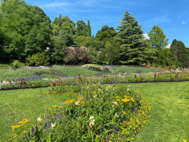 Constance Gölü veya Landschaft der Blumeninsel im Bodensee - Constance, Almanya / Konstanz, Deutschland