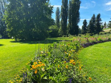 Constance Gölü veya Landschaft der Blumeninsel im Bodensee - Constance, Almanya / Konstanz, Deutschland